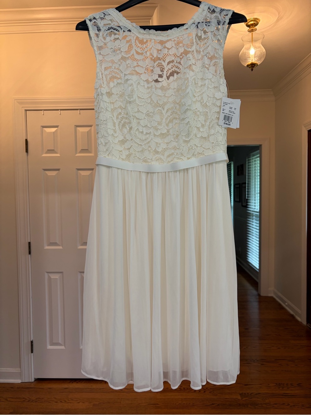 Ivory Lace Chiffon Dress